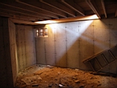 06_03_11_New Cellar Nat Light.JPG